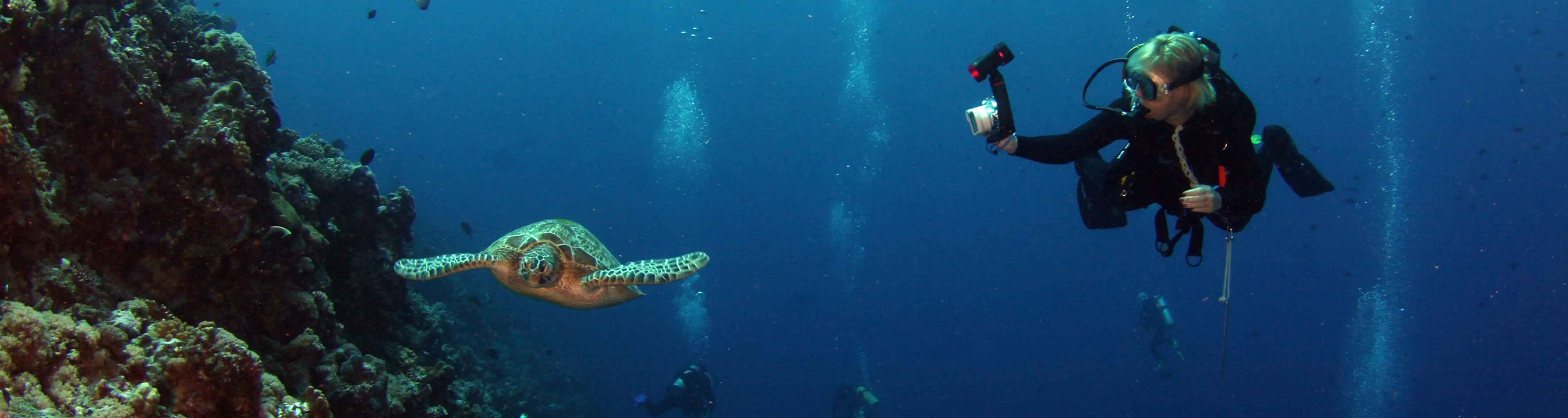 Alanya Diving Tours