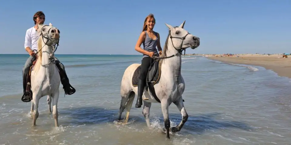 Antalya Horse Riding