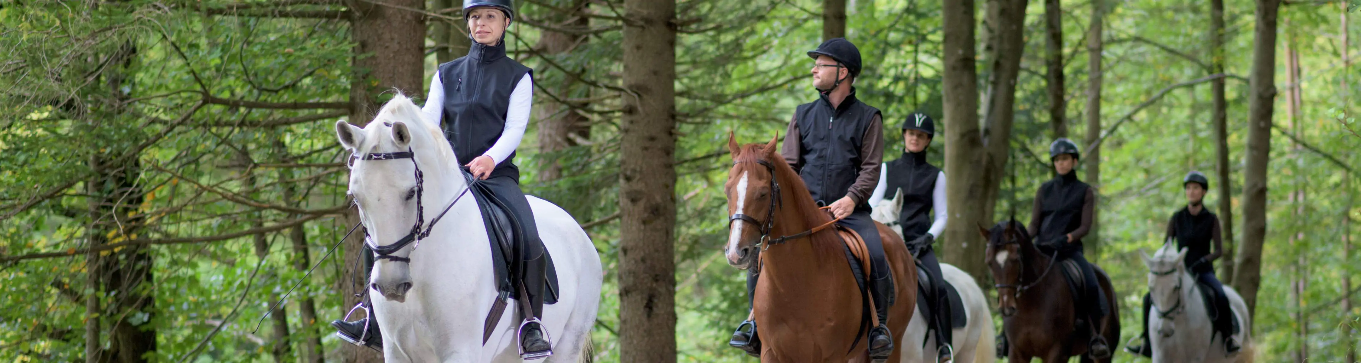 Belek Horse Riding