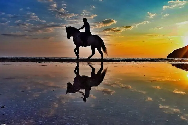 Bodrum Horse Riding Tours