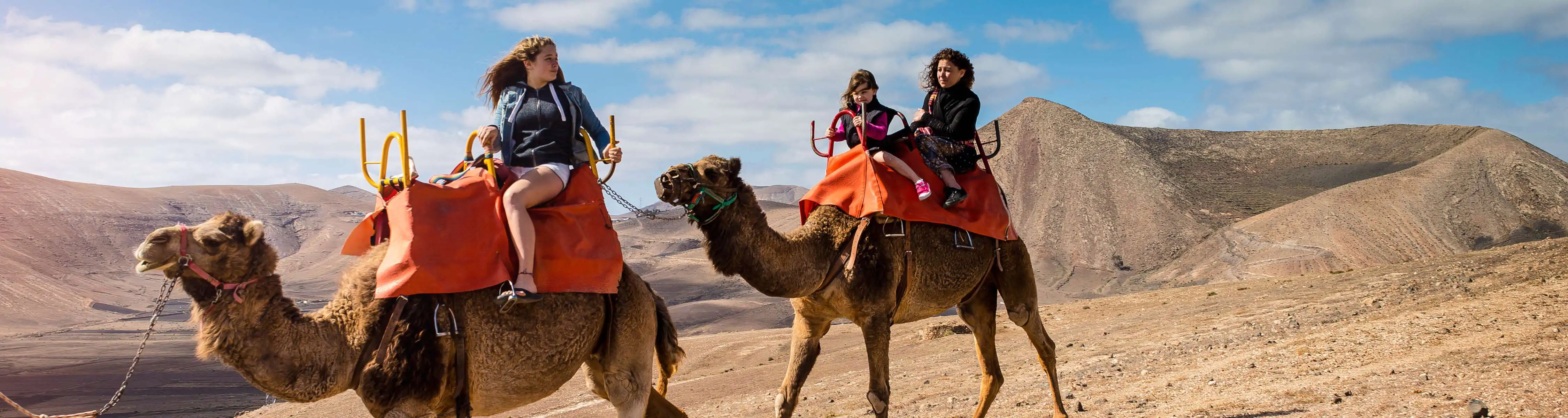 Dubai Camel Ride