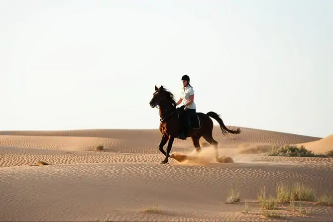 Dubai Horse Riding