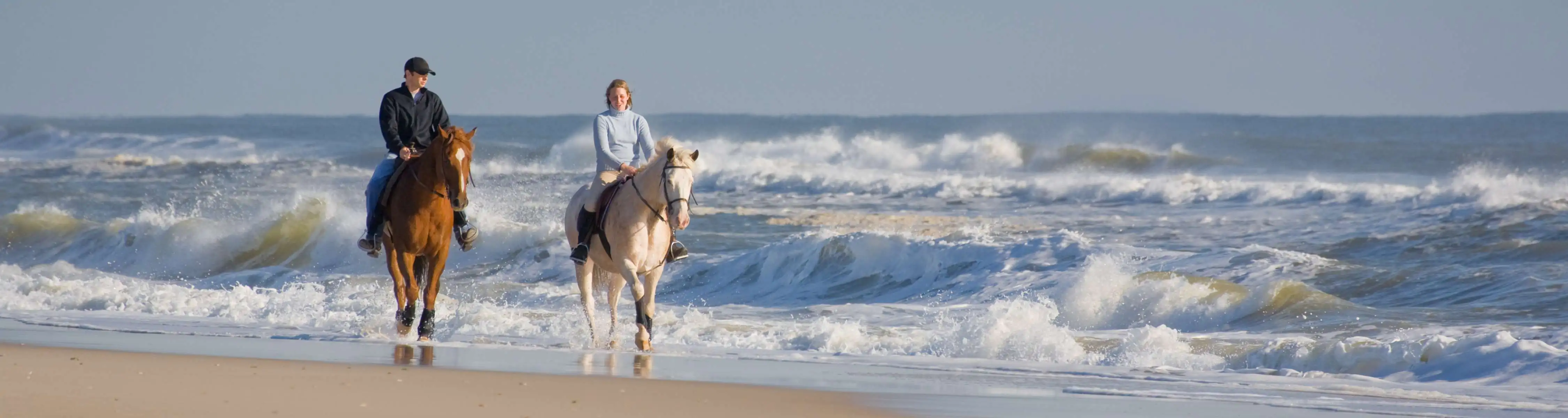 Dubai Horse Riding