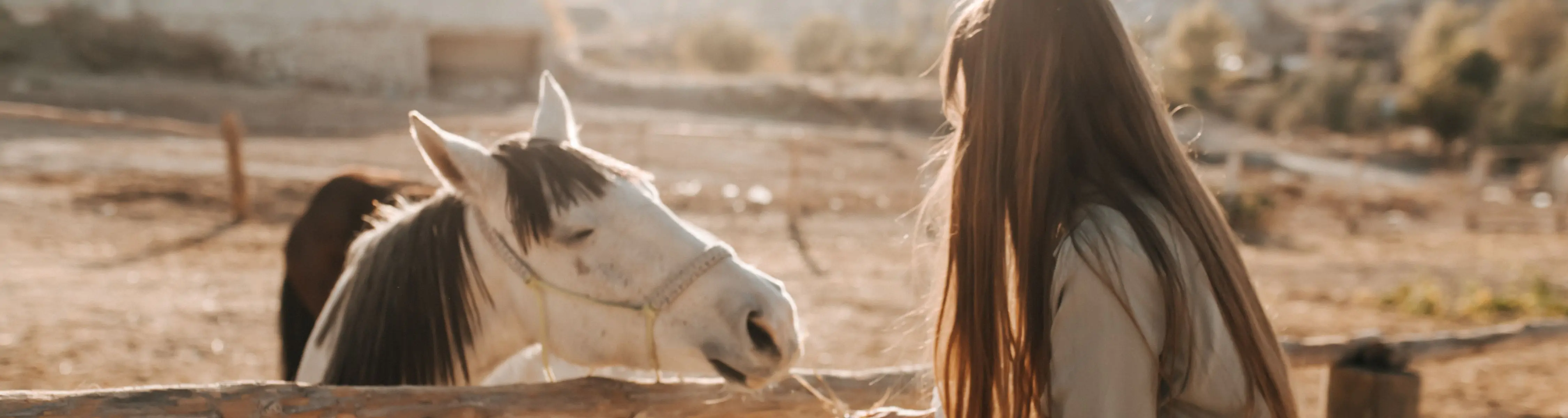 Cappadocia Horse Riding