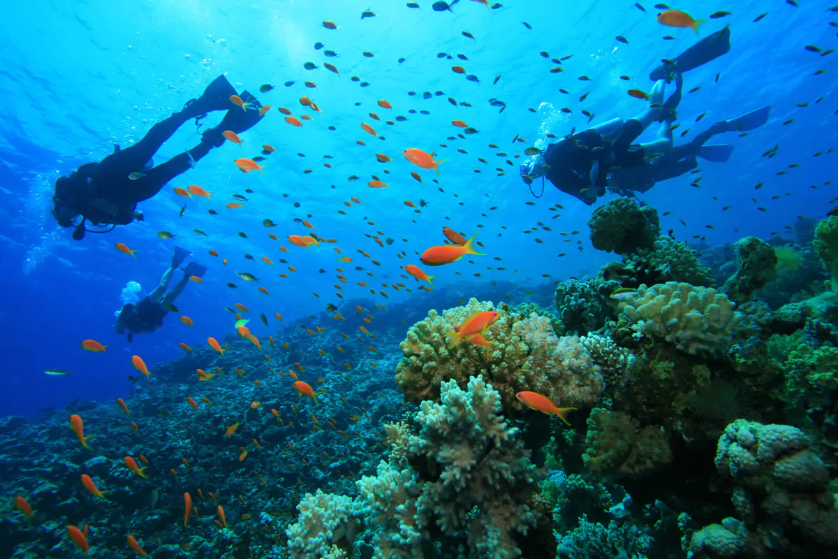 Kusadasi Scuba Diving