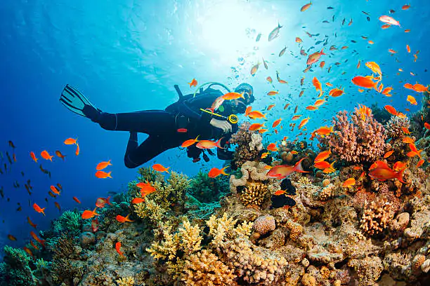 Marmaris Scuba Diving