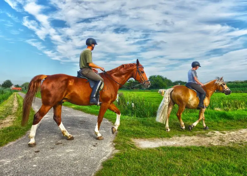 Oludeniz Horse Riding