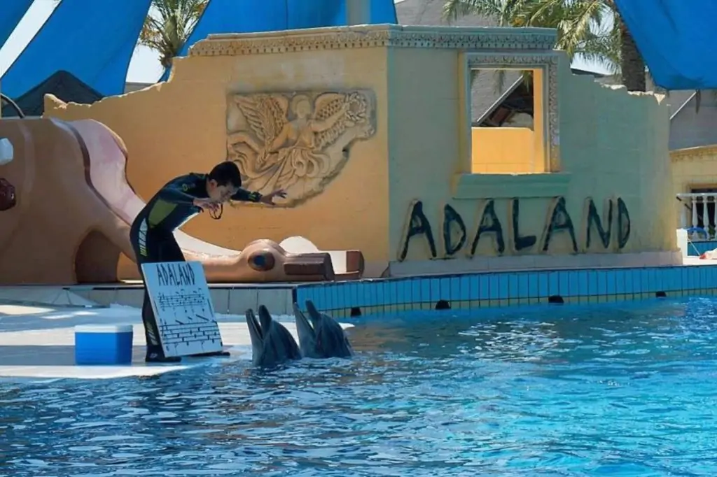 Adaland Dolphin Show in Kusadasi