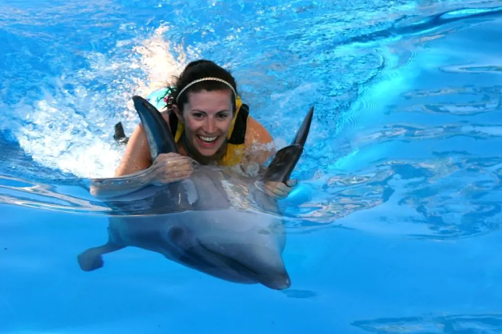 Шоу дельфинов Адаленд в Кушадасы