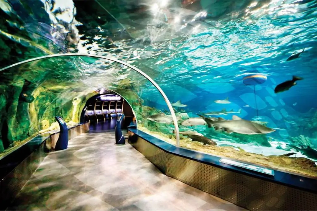 Istanbul Aquarium Tour