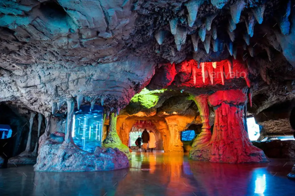 Istanbul Aquarium Tour