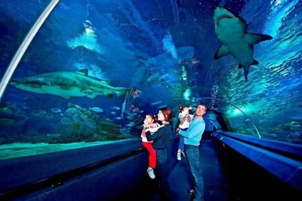 Istanbul Aquarium Tour