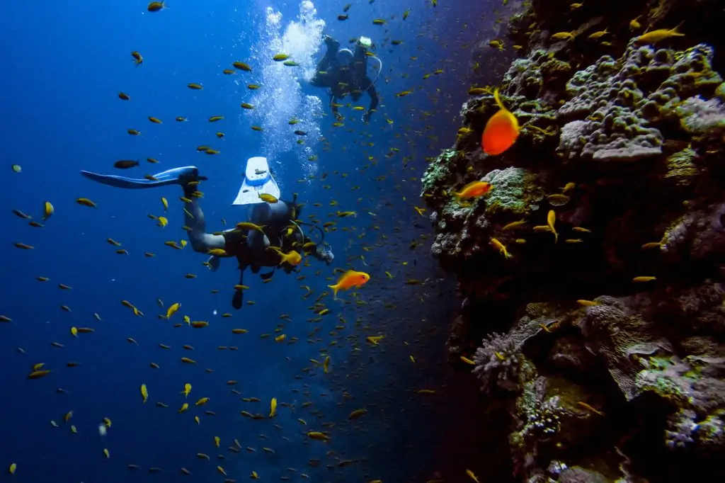 side scuba diving