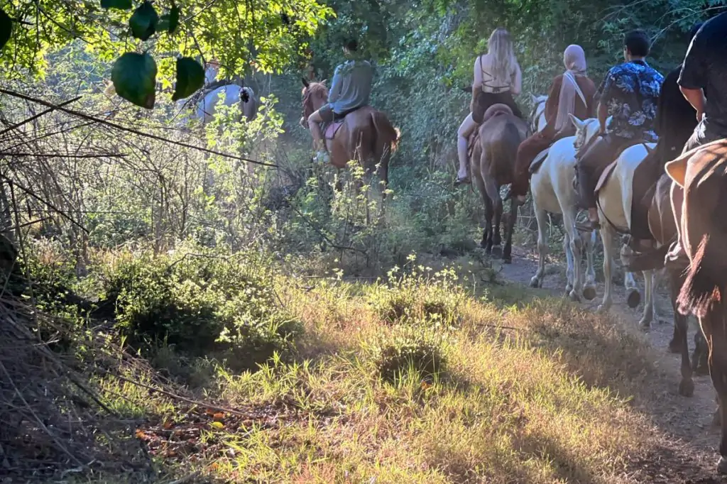 Horse Safari in Fethiye