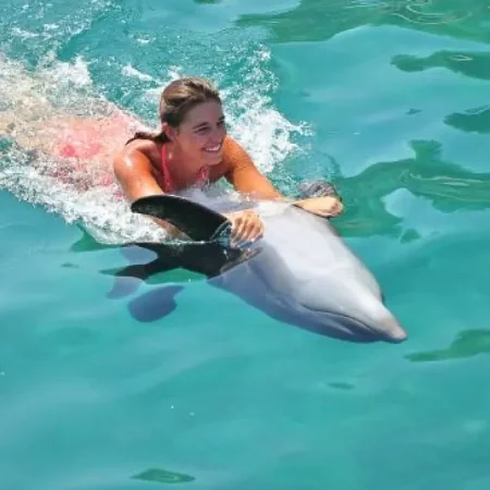 Bodrum Swimming with Dolphins