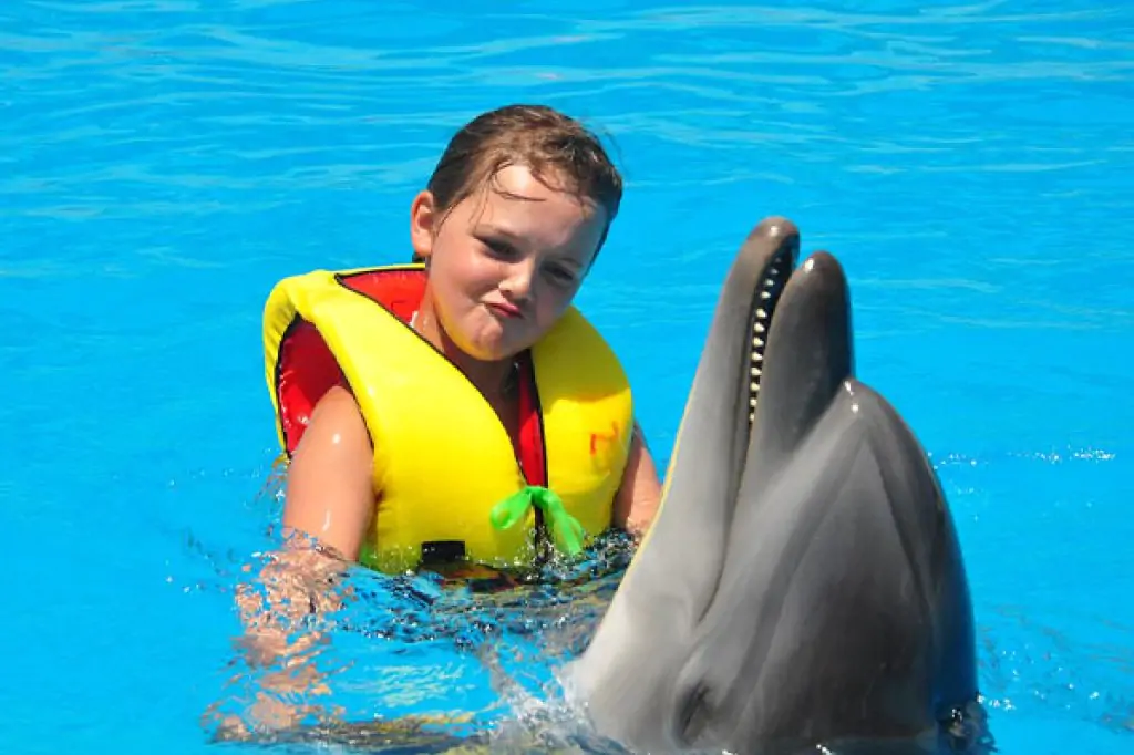 Bodrum Înot cu delfinii
