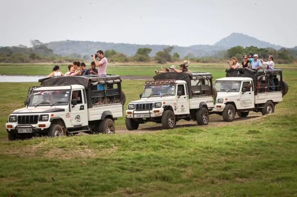 Safari in Yala National Park