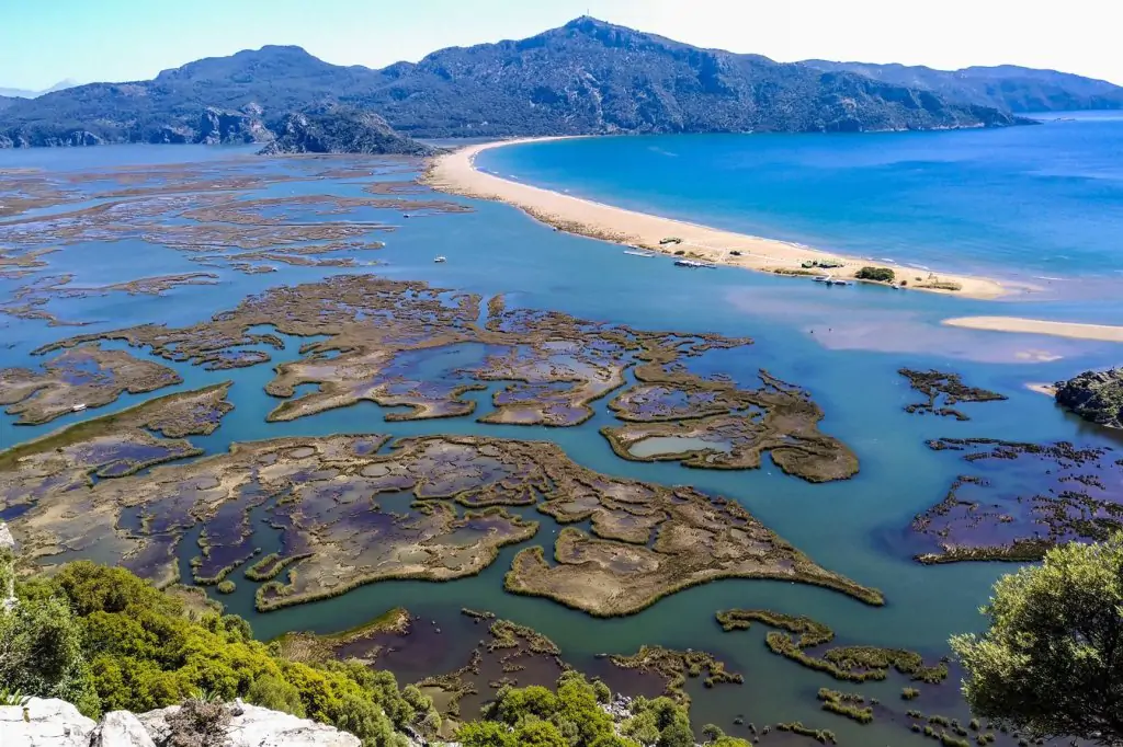 Łaźnie błotne Dalyan i wycieczka na plażę Iztuzu z Fethiye