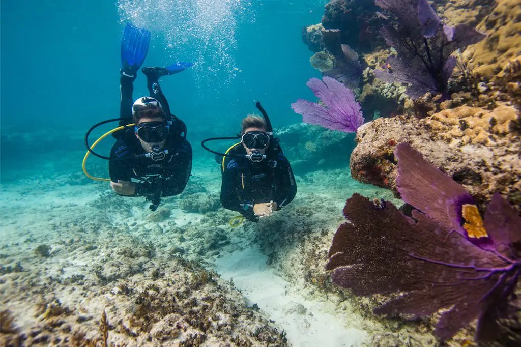 Marmaris Diving Tour