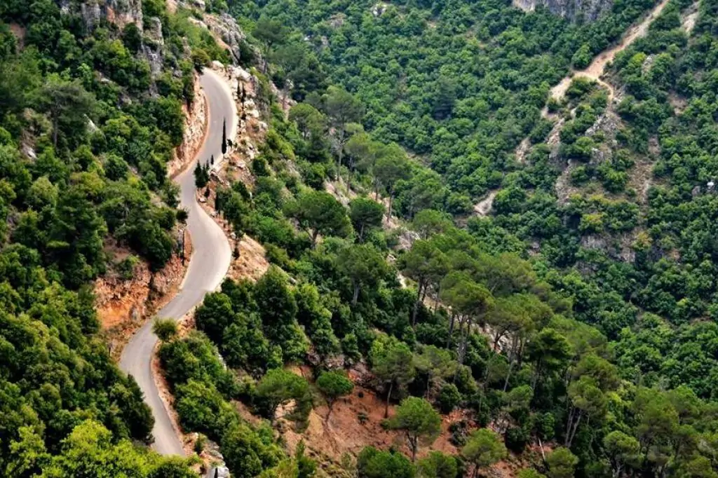 Private Tour Zedern des Libanon, Kozhaya, Qadisha-Tal und Besharreh