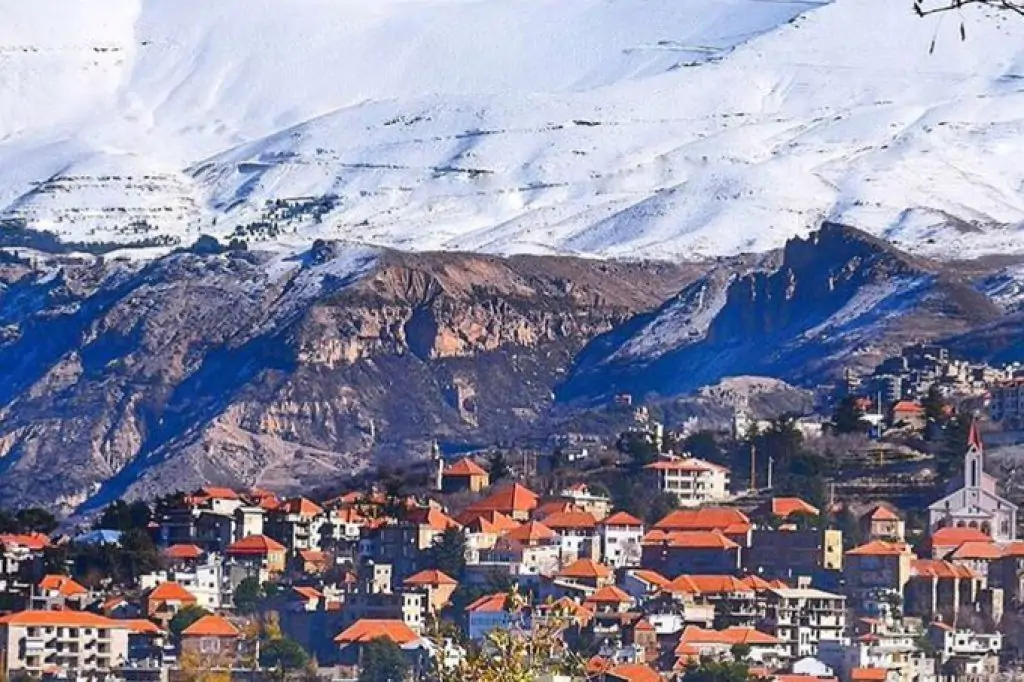 Private tour Cedars of Lebanon, Kozhaya, Qadisha Valley and Besharreh