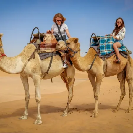 Agadir Camel Ride In Sunset Time With The Barbecue