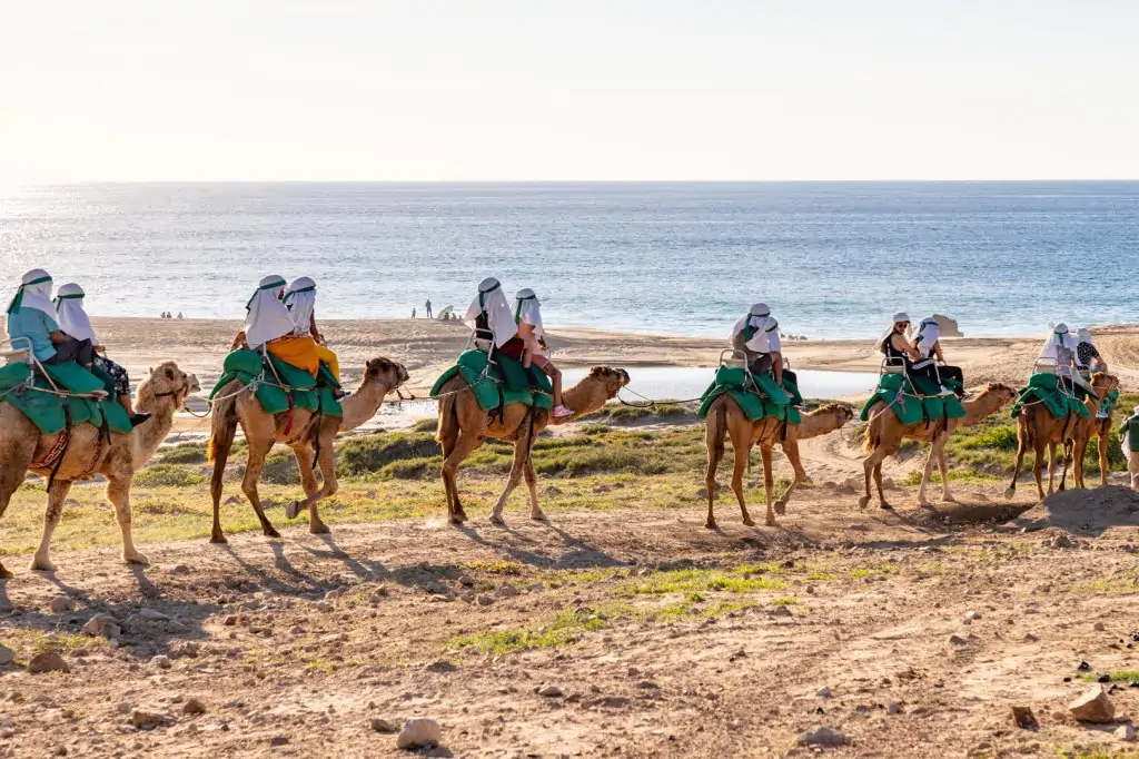 Agadir Camel Ride In Sunset Time With The Barbecue