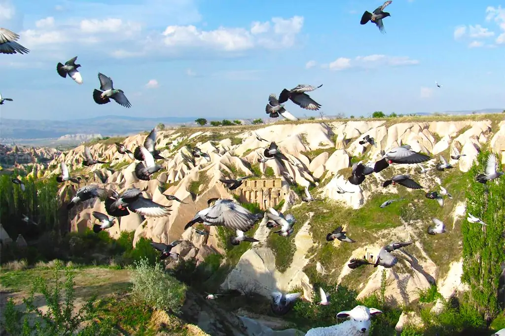 Cappadocia Blue Tour