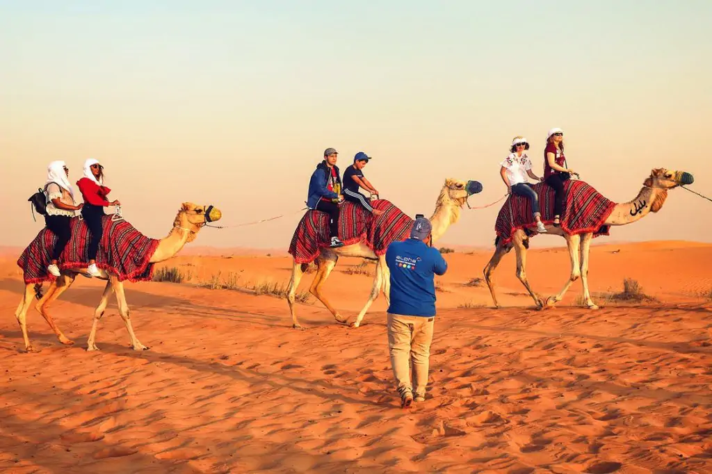 Safari de desert zi întreagă