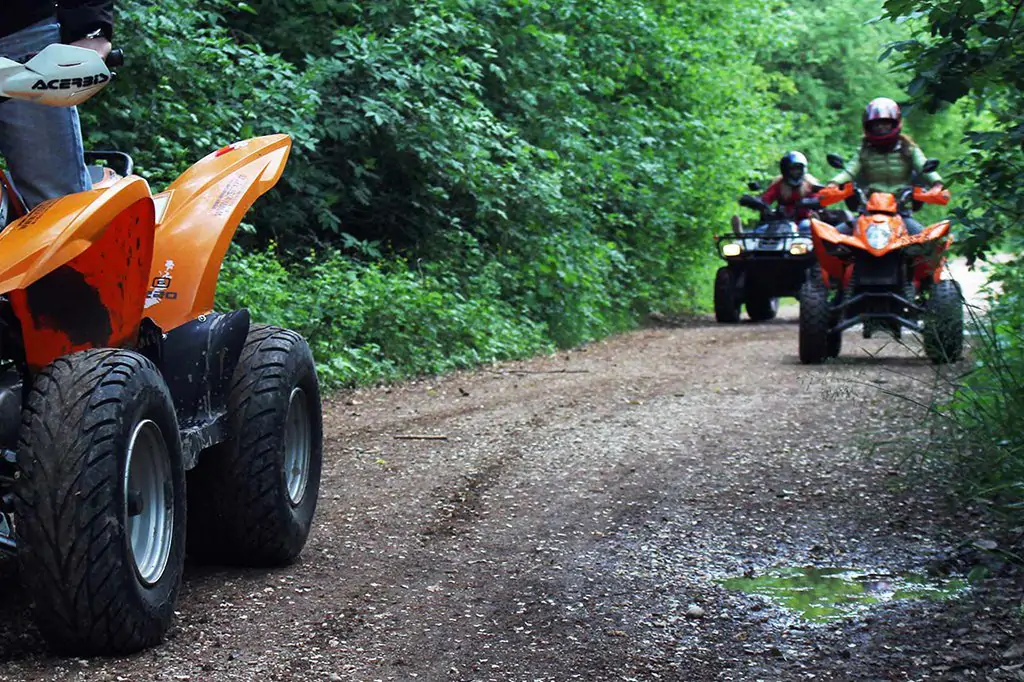 Kusadasi Quad Safari