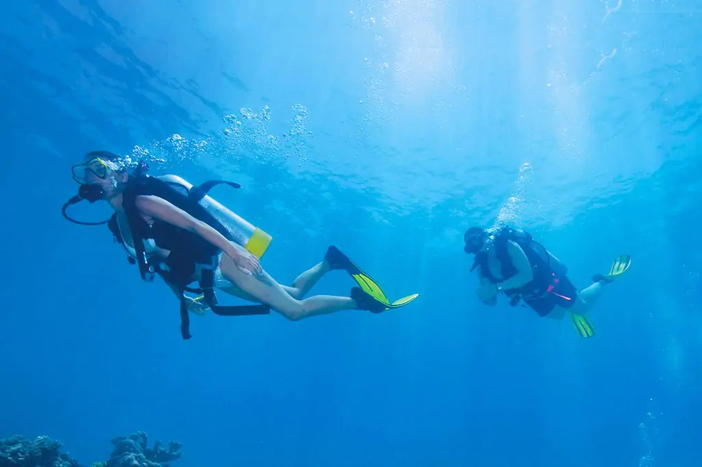 Kusadasi Scuba Diving Experience