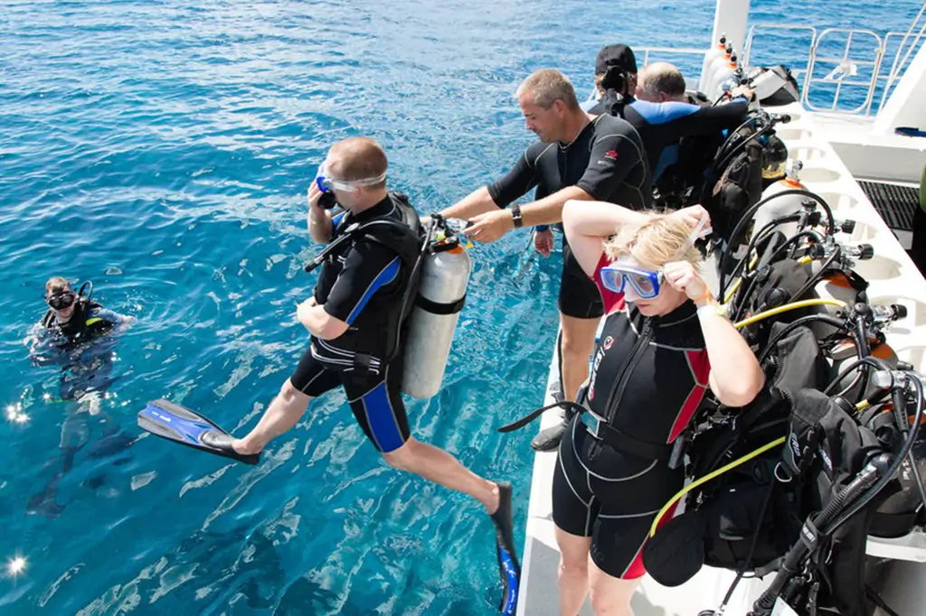 Kusadasi Scuba Diving Experience