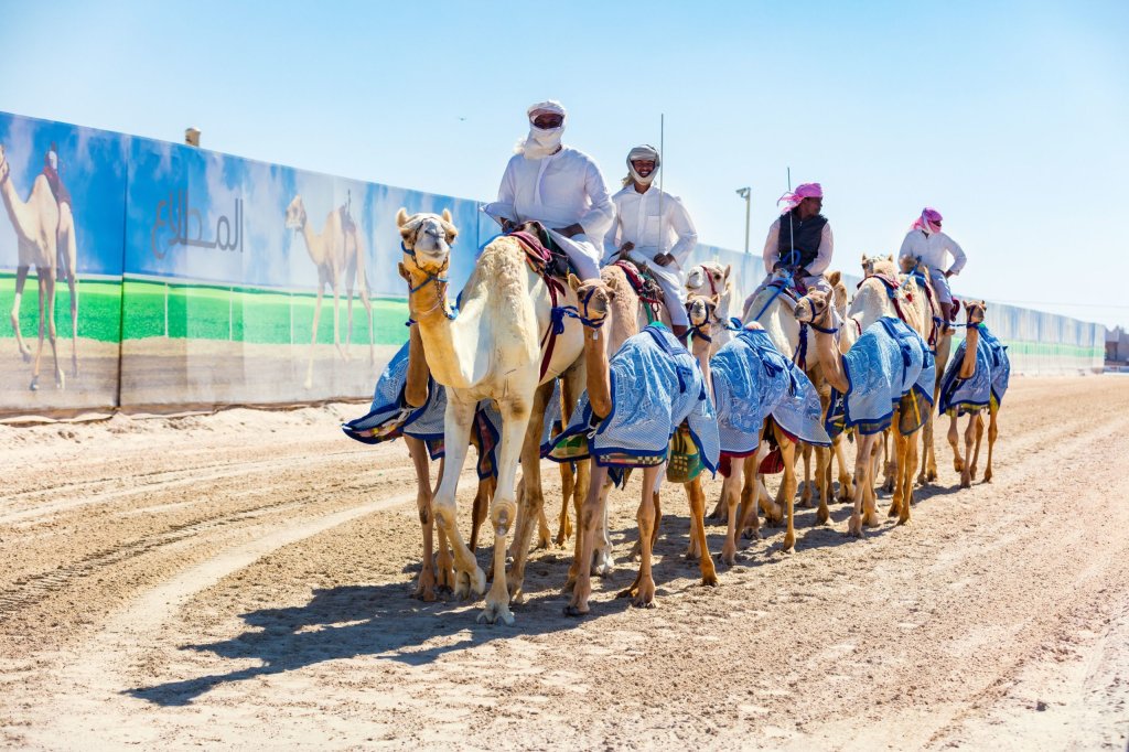 Sheikh Faisal, Kamelrennbahn und Reitclub