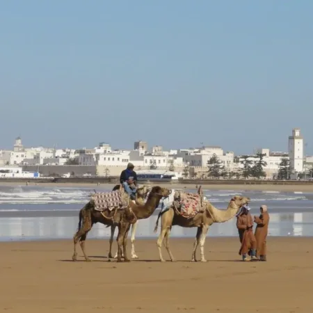 Essaouira day trip from Agadir