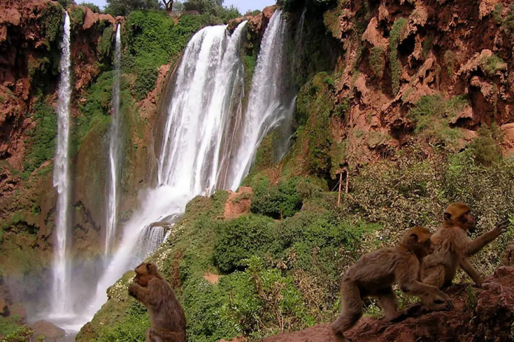 Private day trip to Ouzoud Waterfalls