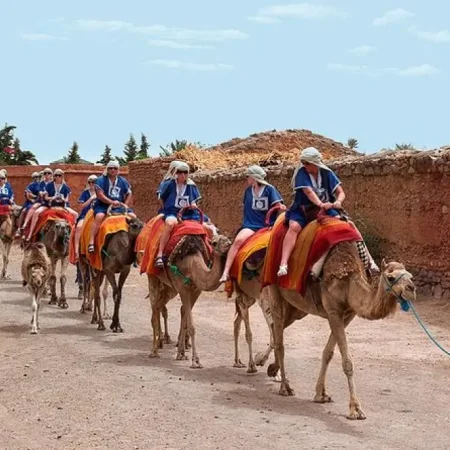 Marrakech Palmeraie: Quad bike and Camel ride experience