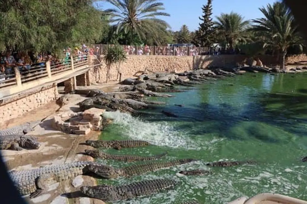 Eine Tagestour zur Entdeckung der Insel Djerba