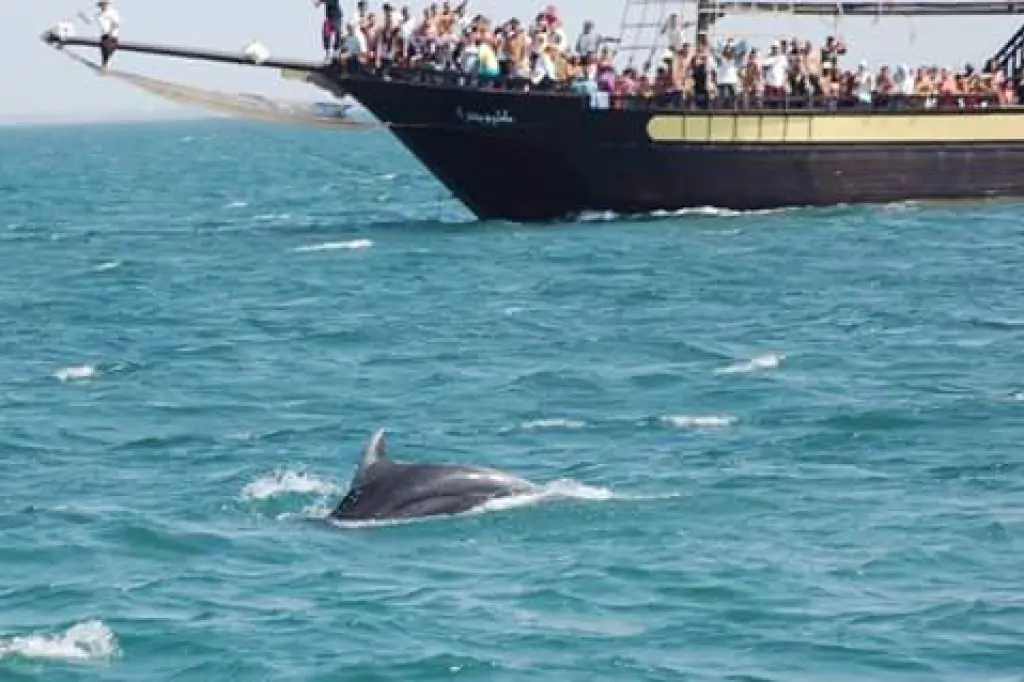 Pirate Ship Boat Tour in Djerba from Djerba