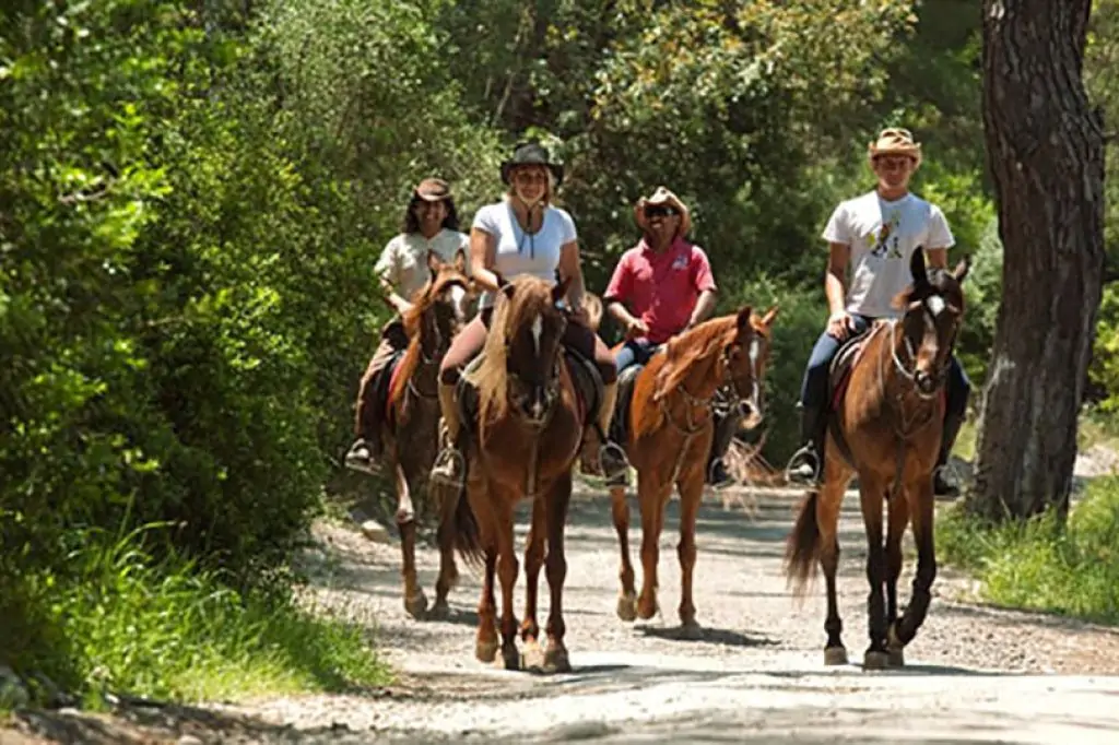 Antalya: Forest & Beach Horse Riding Safari