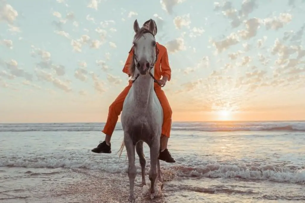 Antalya: Forest & Beach Horse Riding Safari