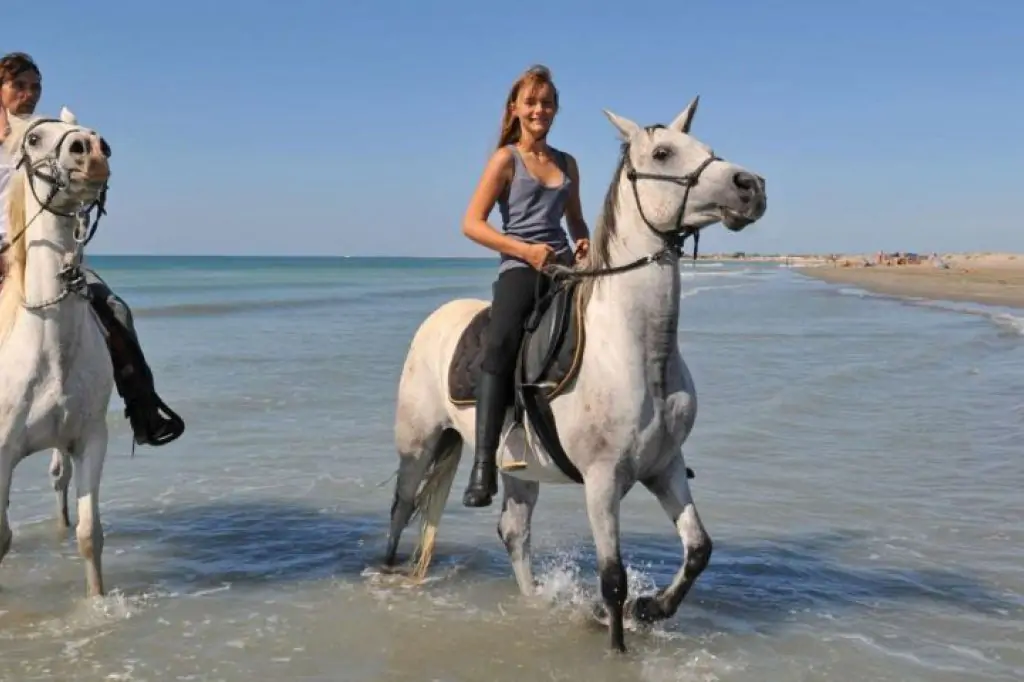 Antalya: Safari konne w lesie i na plaży