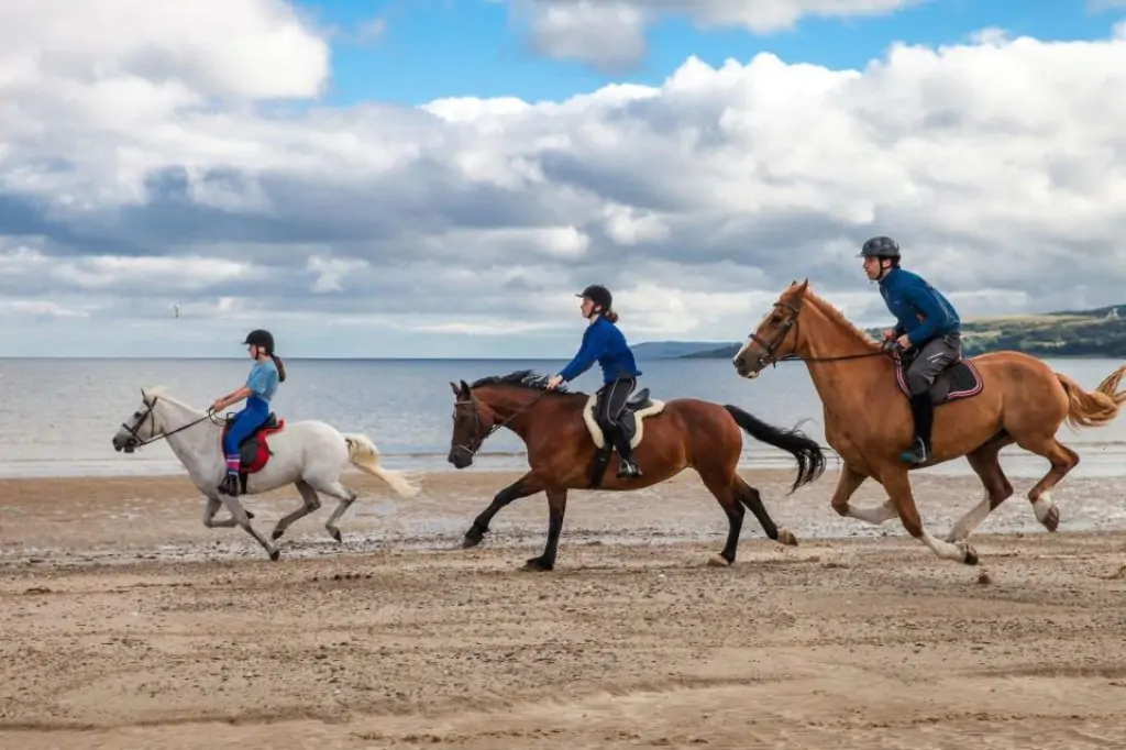 Antalya: Forest & Beach Horse Riding Safari