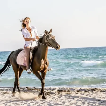 Antalya: Forest & Beach Horse Riding Safari