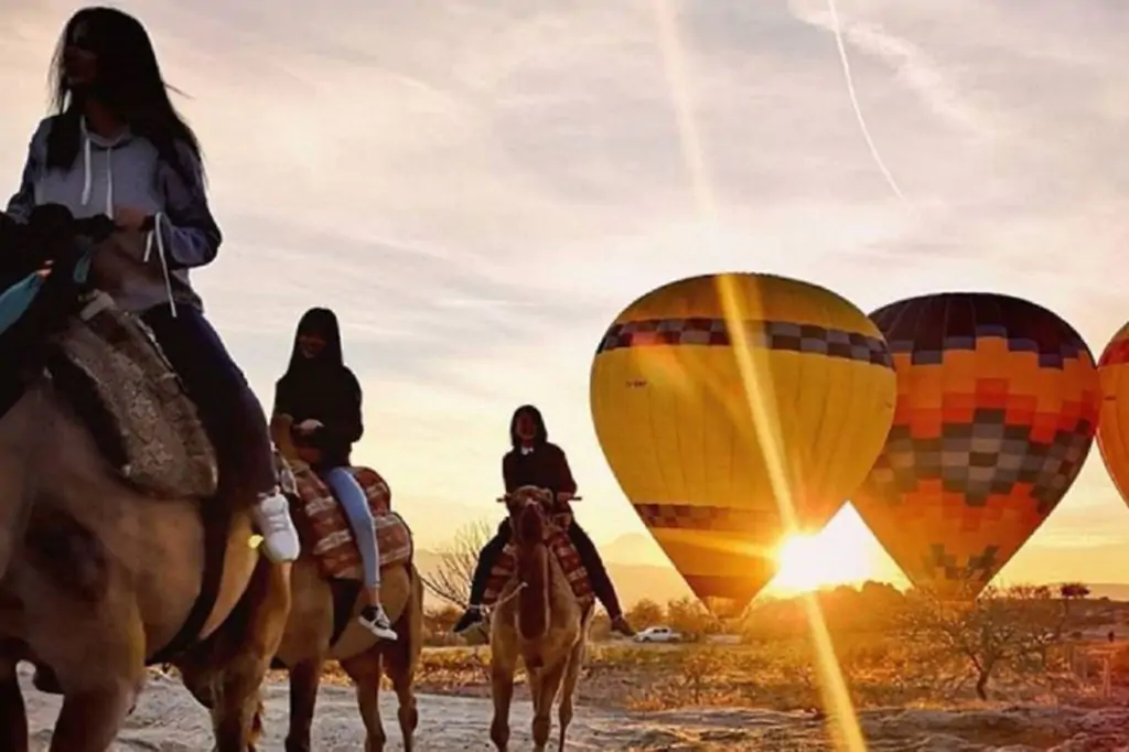 Cappadocia Camel Riding With Sunrise, Sunset Or Daytime Option + Transfer