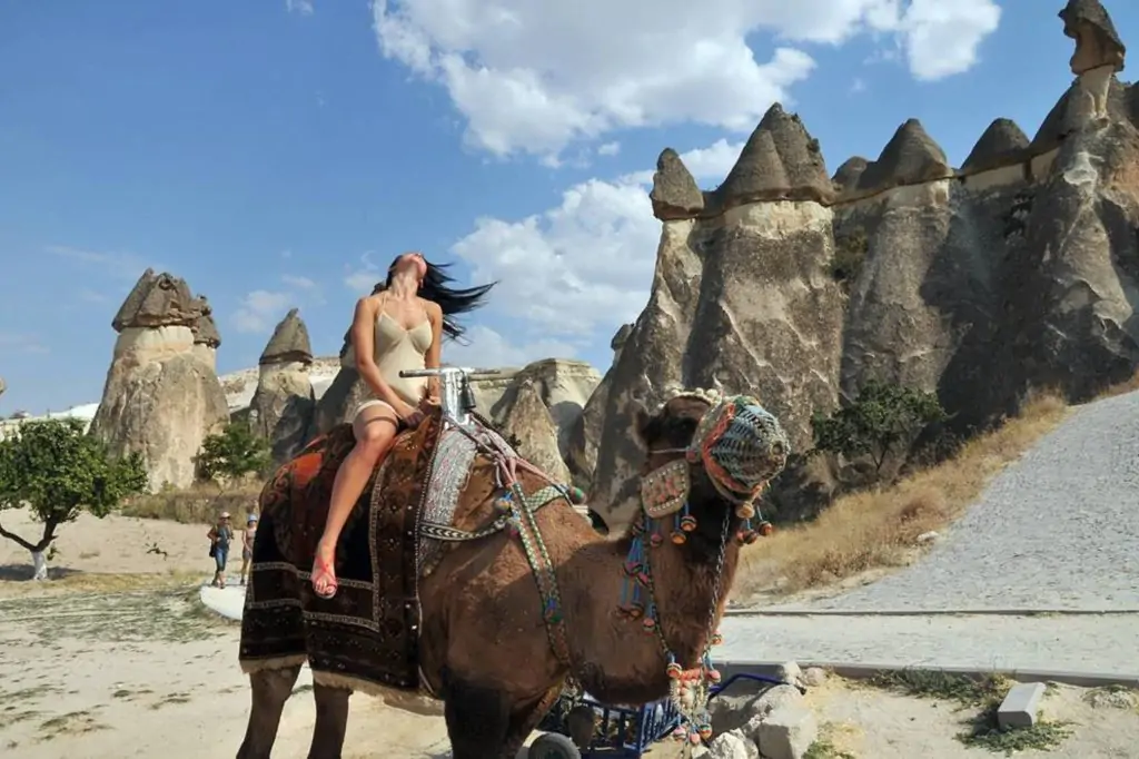 Cappadocia Camel Riding With Sunrise, Sunset Or Daytime Option + Transfer