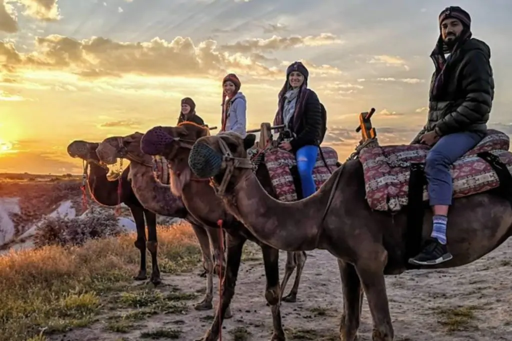 Cappadocia Camel Riding With Sunrise, Sunset Or Daytime Option + Transfer