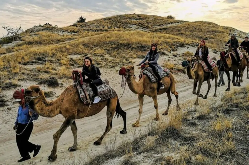 Cappadocia Camel Riding With Sunrise, Sunset Or Daytime Option + Transfer