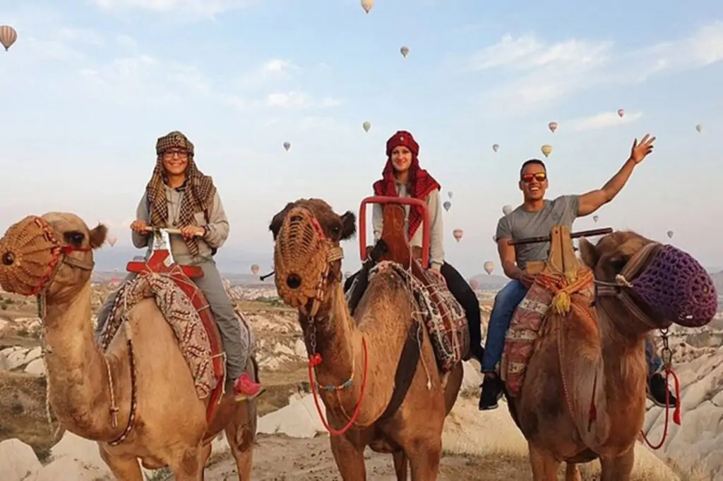 Cappadocia Camel Riding With Sunrise, Sunset Or Daytime Option + Transfer