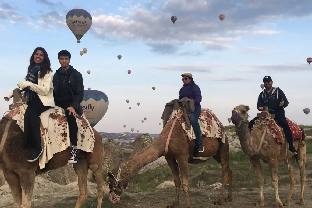 Cappadocia Camel Riding With Sunrise, Sunset Or Daytime Option + Transfer