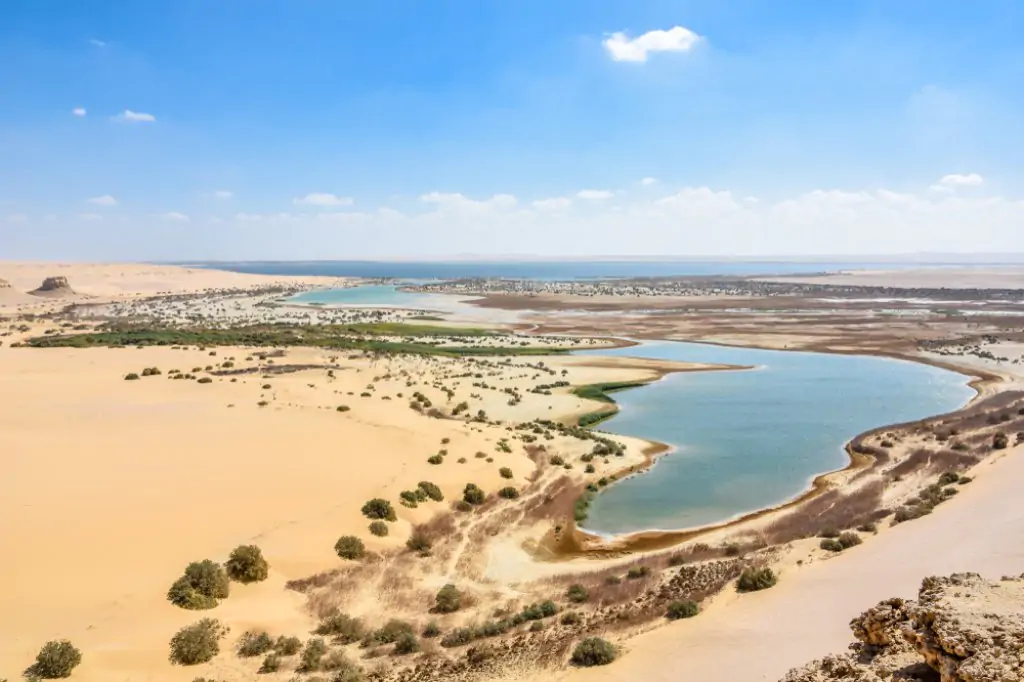 Private Fayoum Day Trip Tour Program